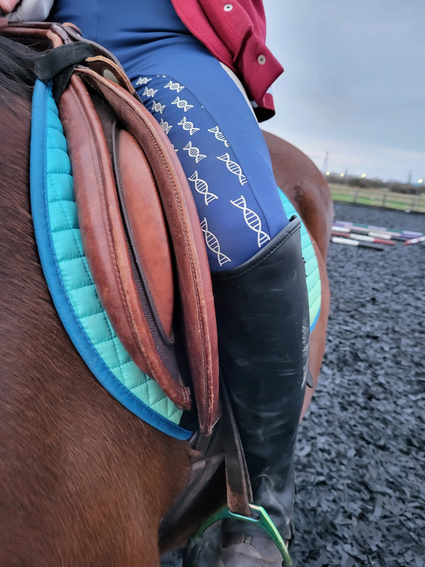 Ladies navy & yellow riding tights DNA equestrian ltd