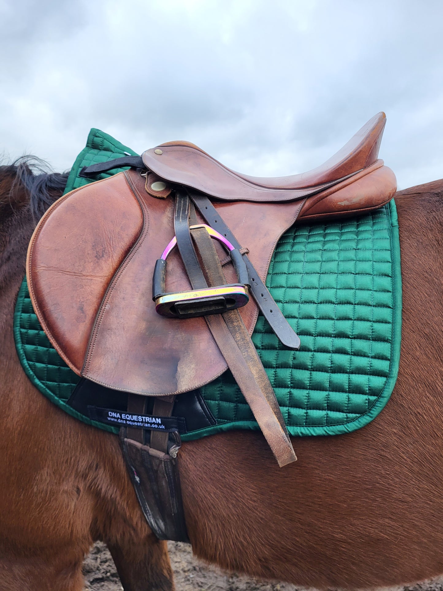 Satin saddle pad DNA equestrian ltd