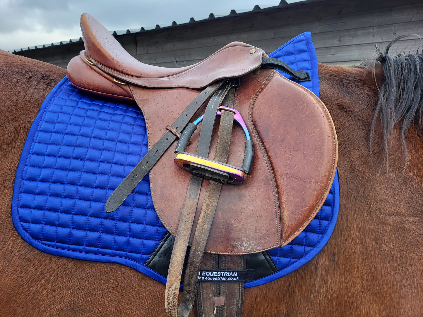 Satin saddle pad DNA equestrian ltd