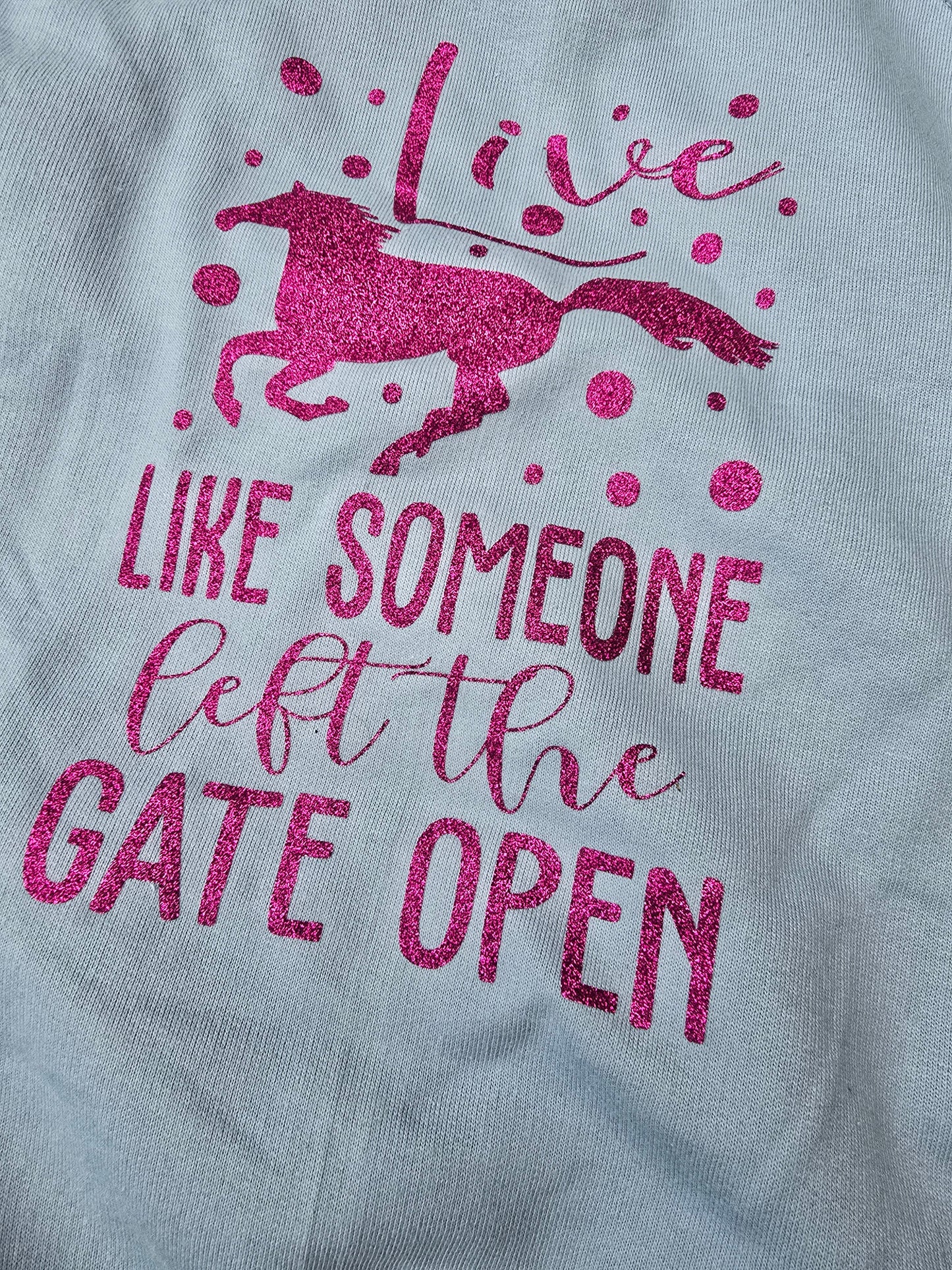Ladies fit "live like" baby blue hoodie