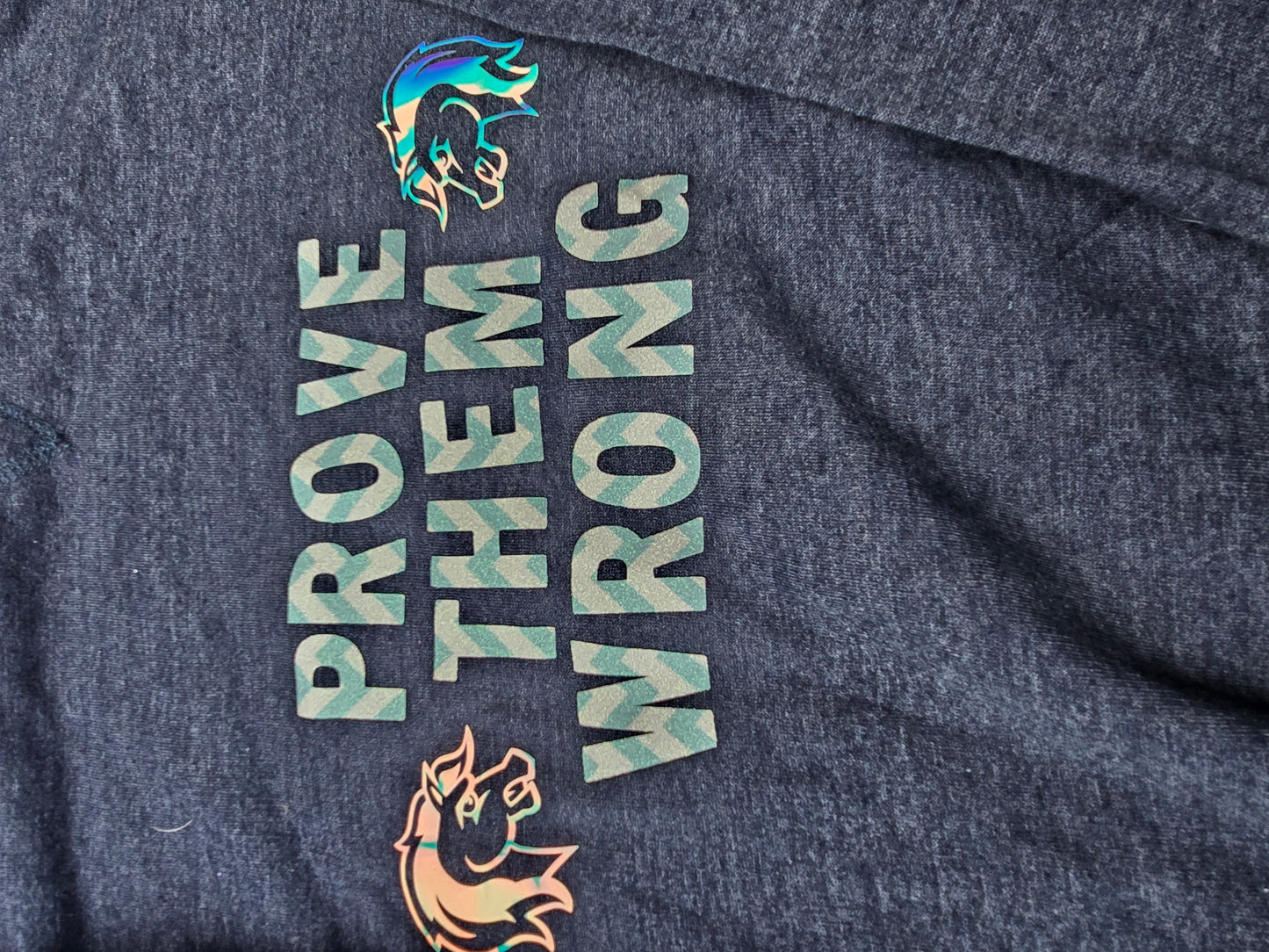 Blue sweatshirt with "prove them wrong" slogan