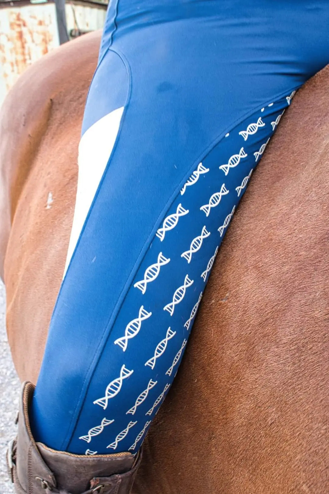 Ladies navy & yellow riding tights DNA equestrian ltd