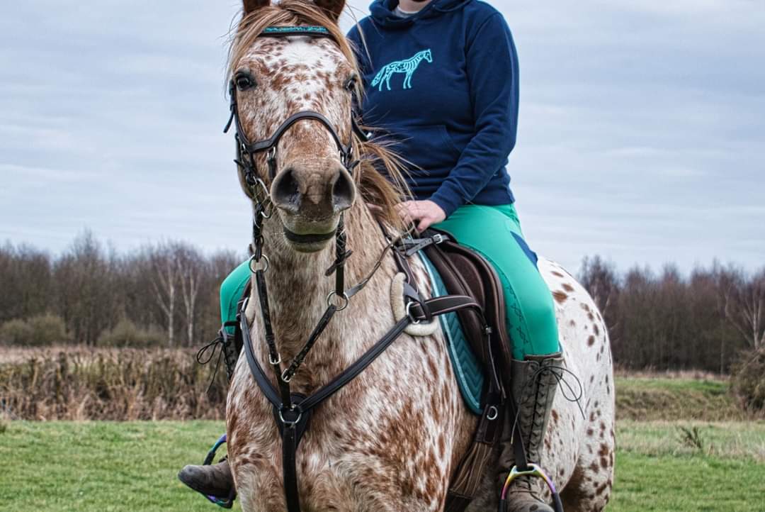 Navy ladies fit hoodie with green horse