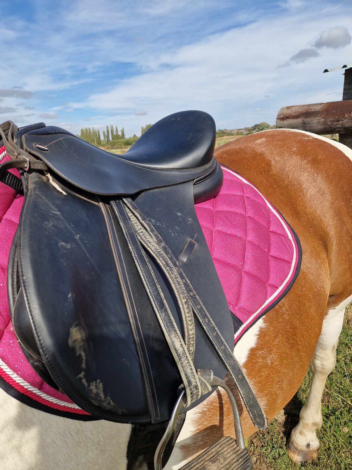 Glitter saddle pad and fly veil set DNA equestrian ltd