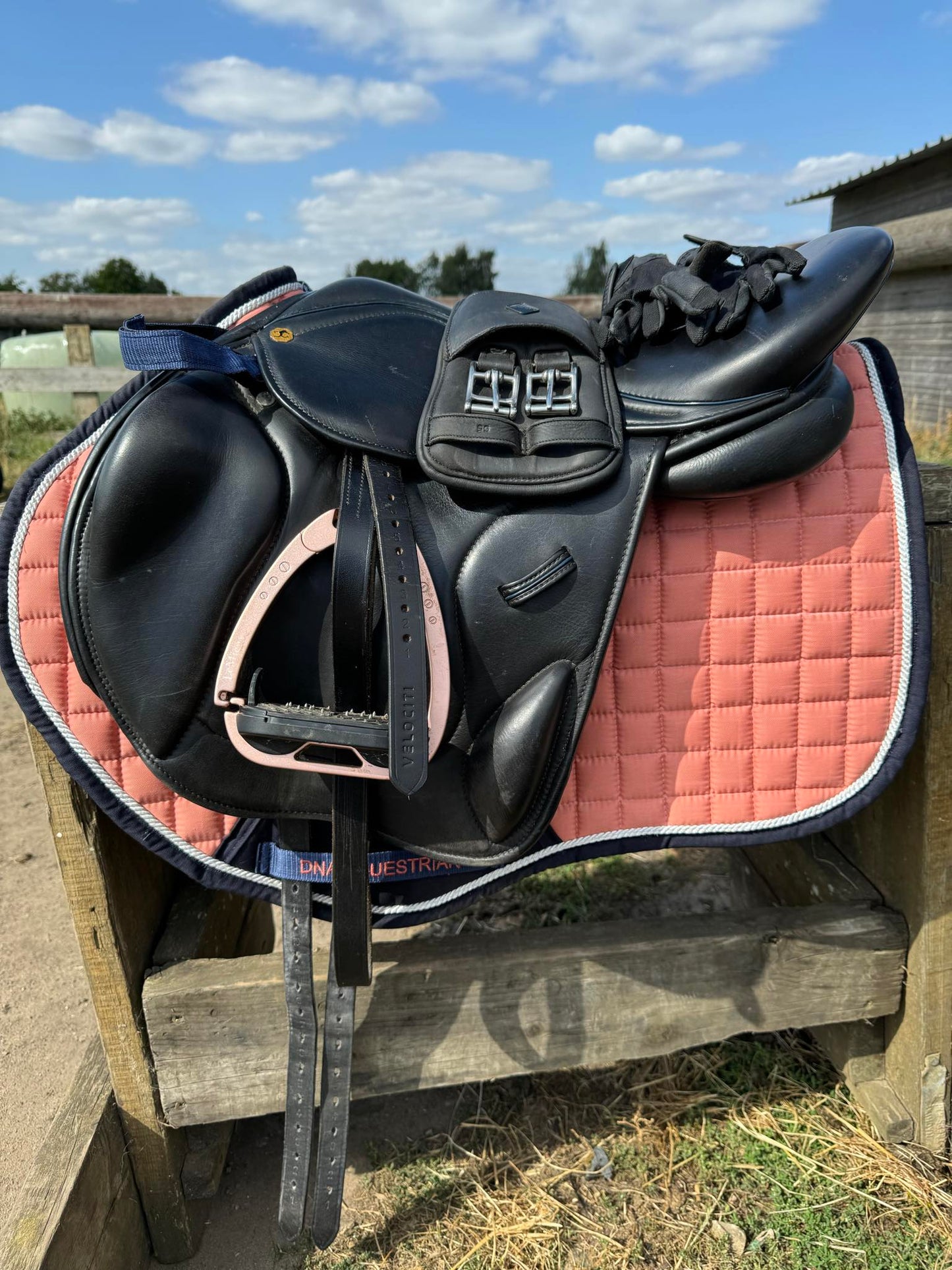 Coral saddle pad and fly veil set DNA equestrian ltd