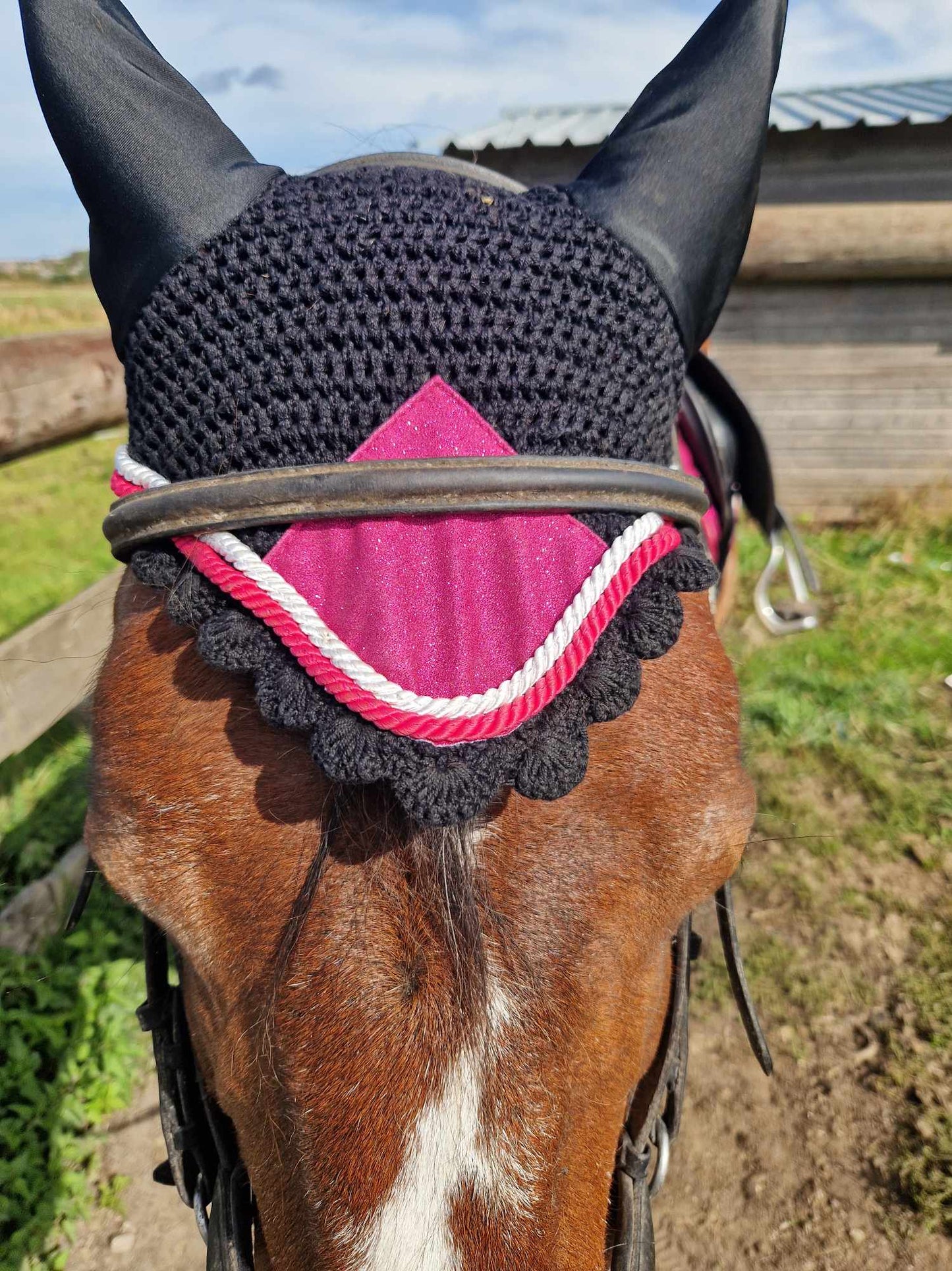 Glitter saddle pad and fly veil set DNA equestrian ltd