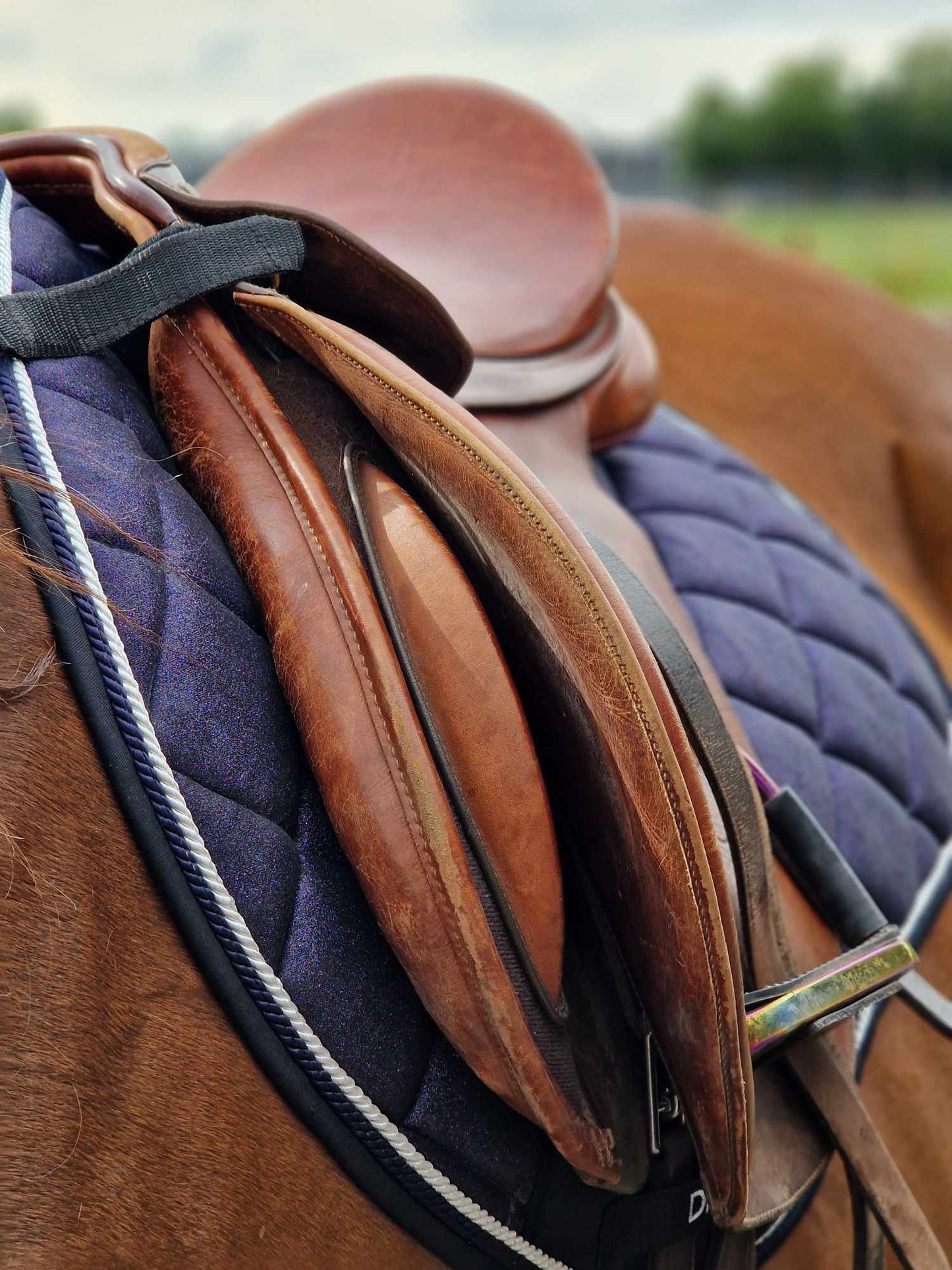Glitter saddle pad and fly veil set DNA equestrian ltd
