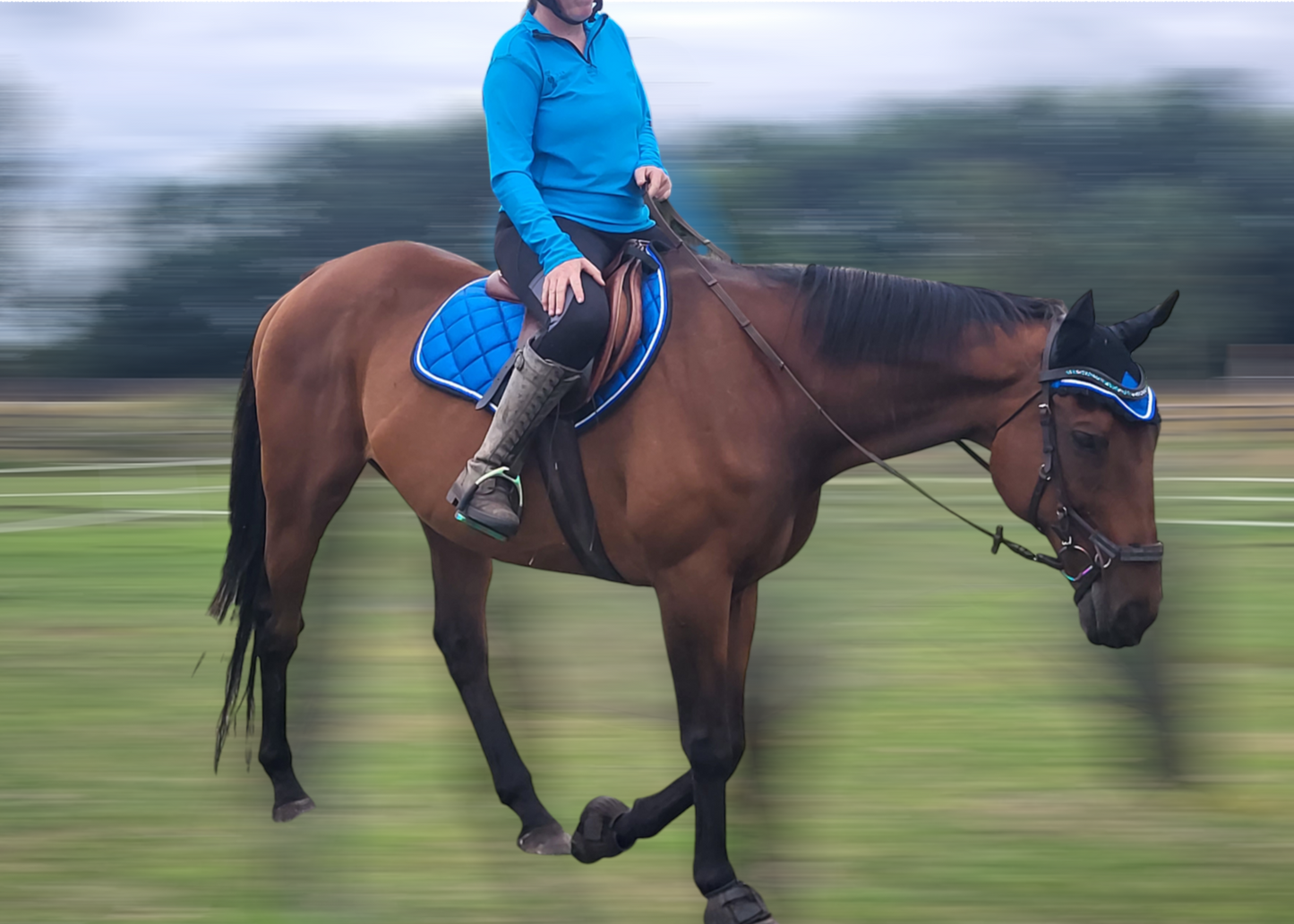 Ladies long sleeved summer baselayer - multiple colours DNA equestrian ltd