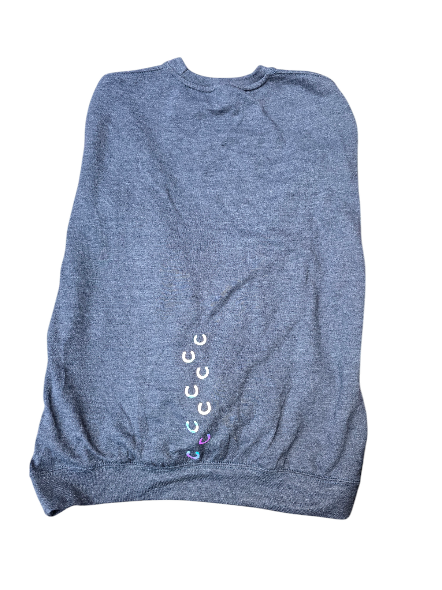 Blue sweatshirt with "prove them wrong" slogan