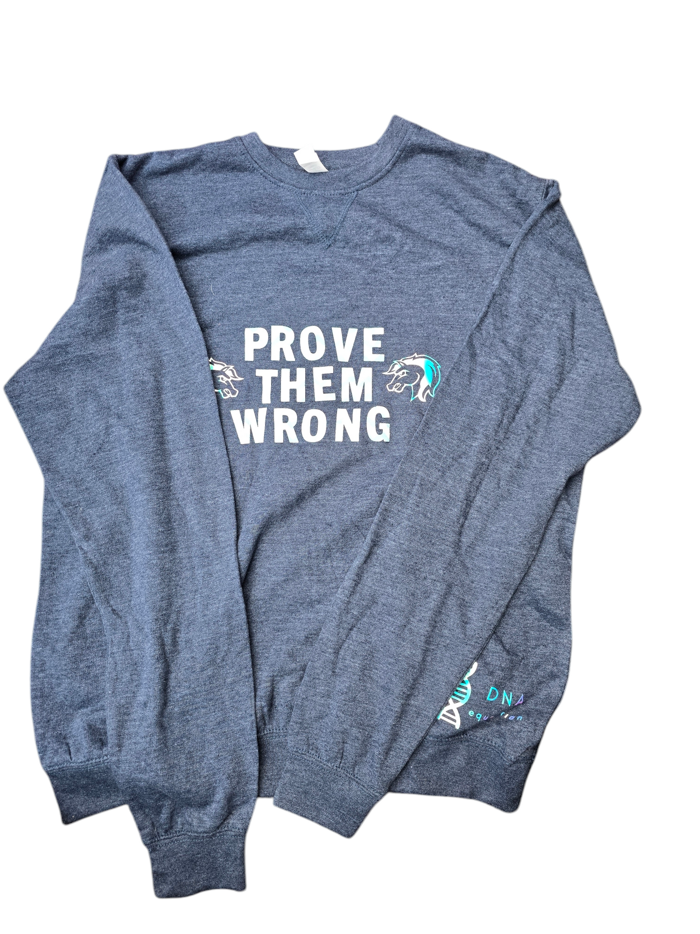 Blue sweatshirt with "prove them wrong" slogan