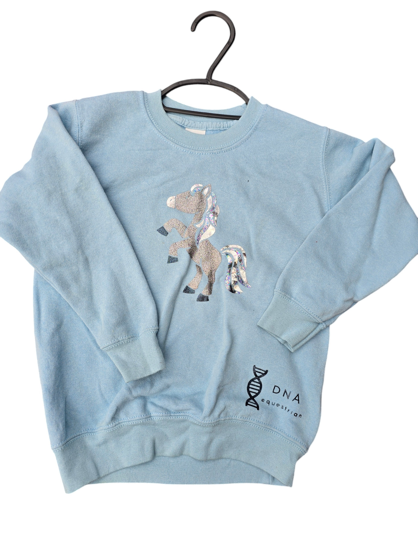 Baby blue childrens sweatshirt with silver horse.