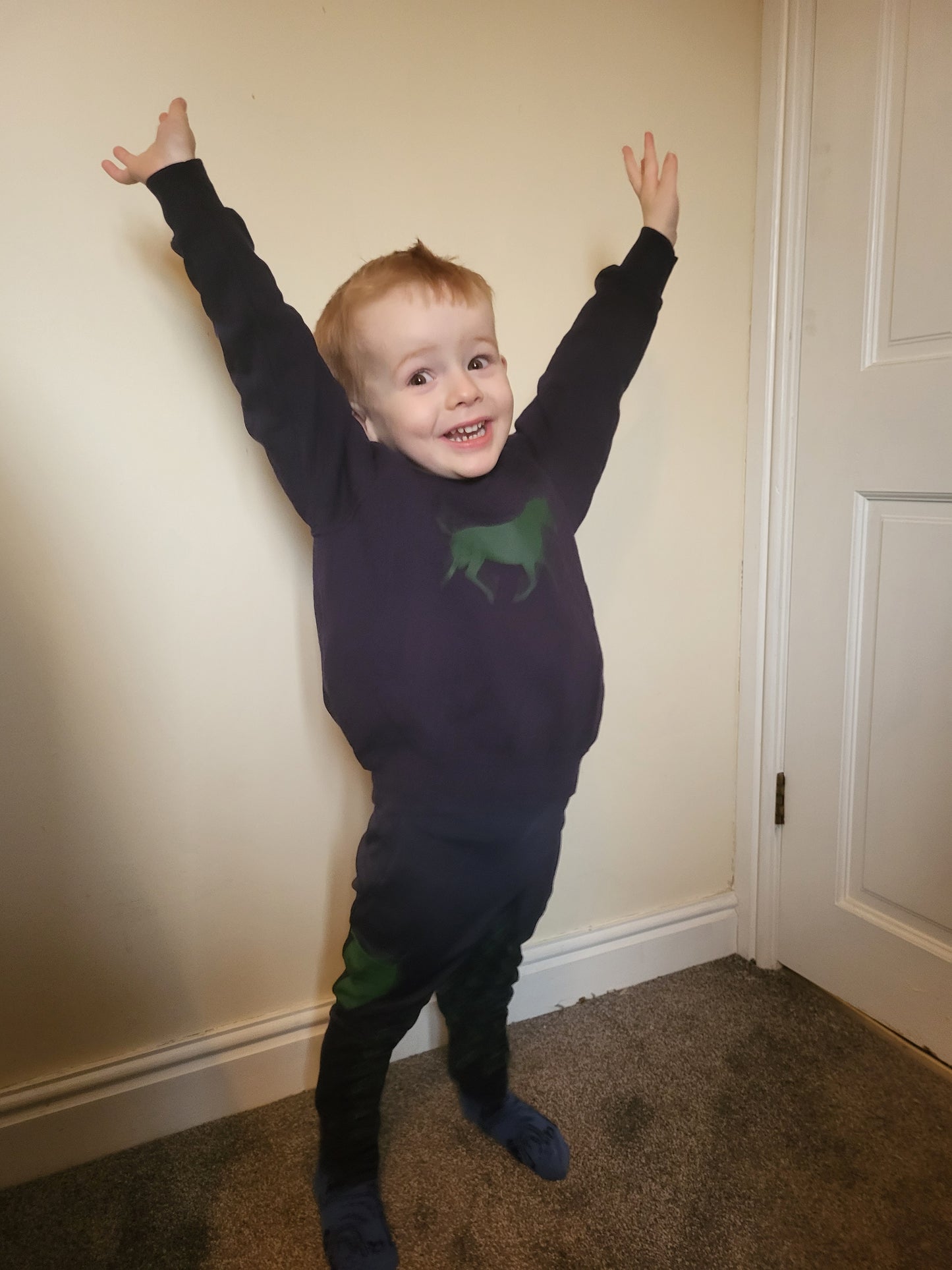 Childrens navy sweatshirt with green horse design