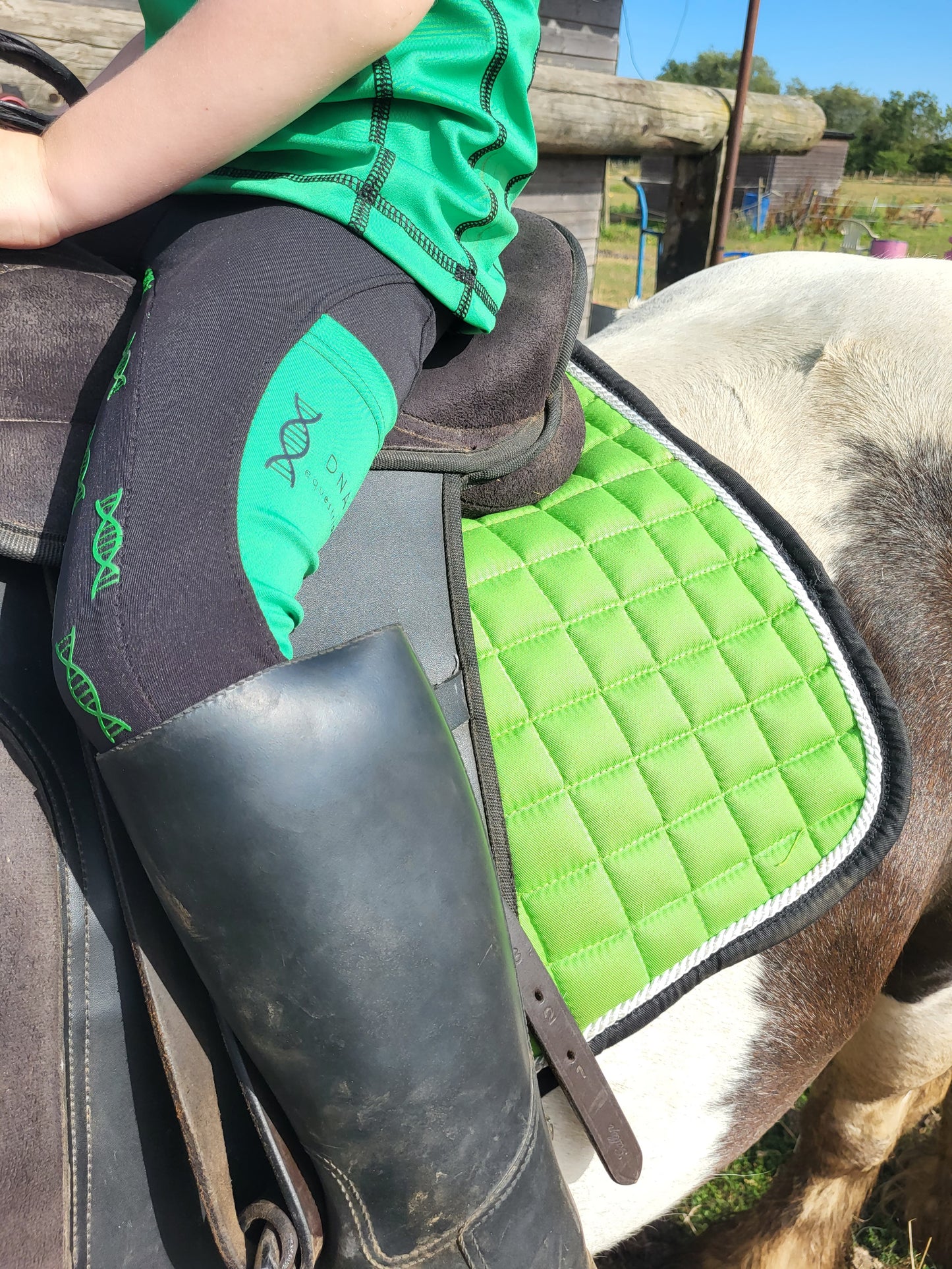 Green saddle pad and fly veil set DNA equestrian ltd