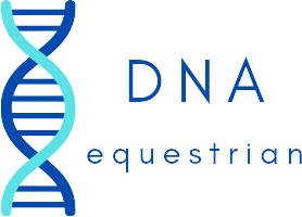 DNA equestrian ltd 