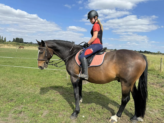Childrens riding tights in navy/coral DNA equestrian ltd