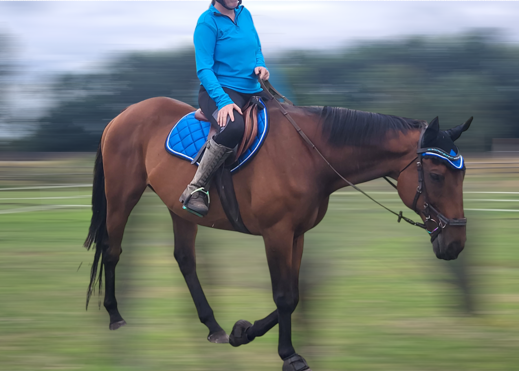 Ladies long sleeved summer baselayer - multiple colours DNA equestrian ltd