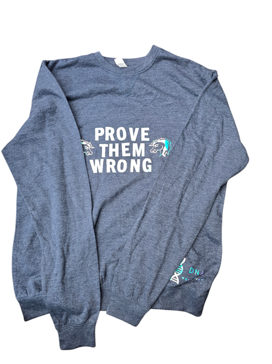 Blue sweatshirt with "prove them wrong" slogan