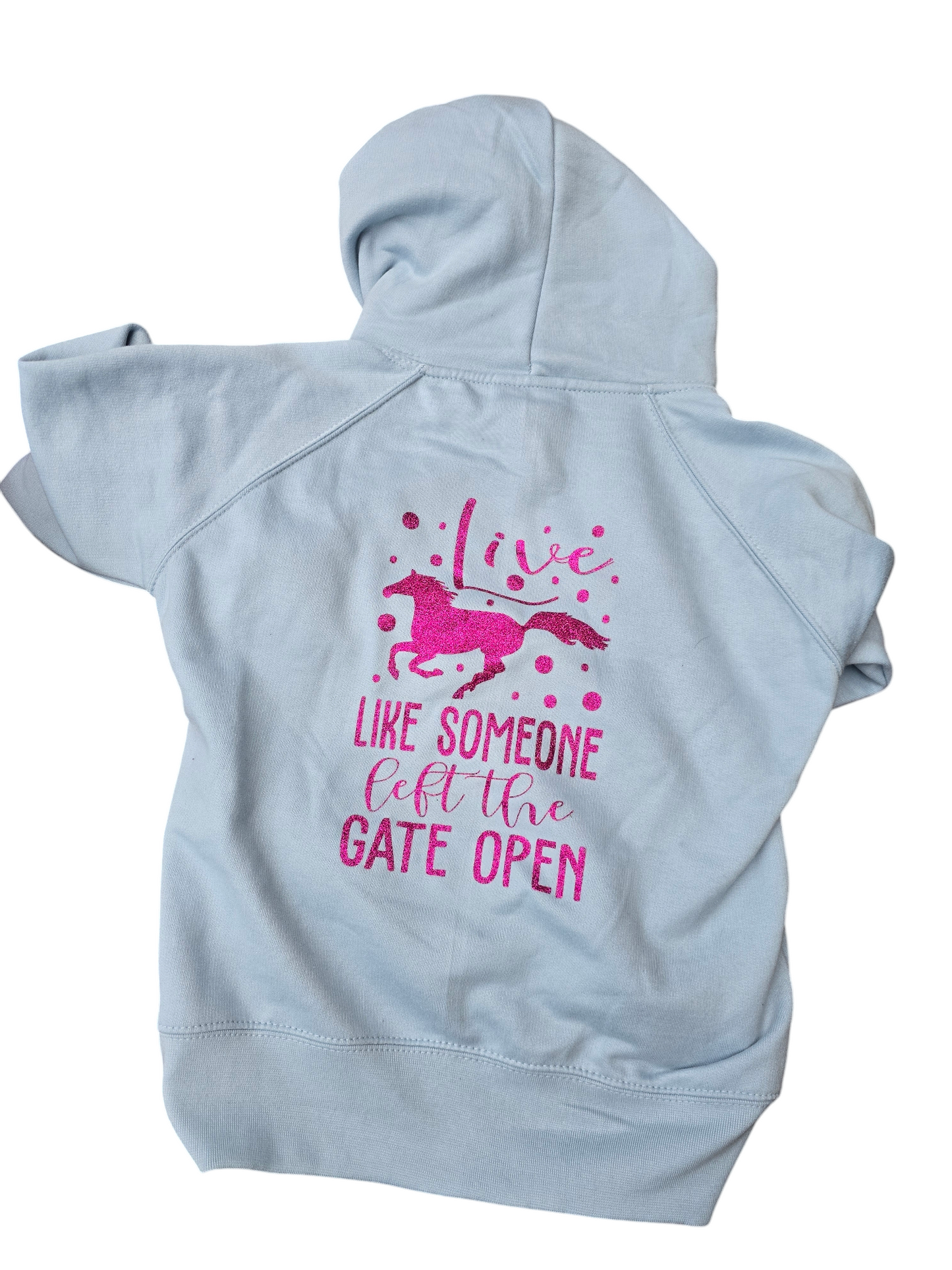 Ladies fit "live like" baby blue hoodie