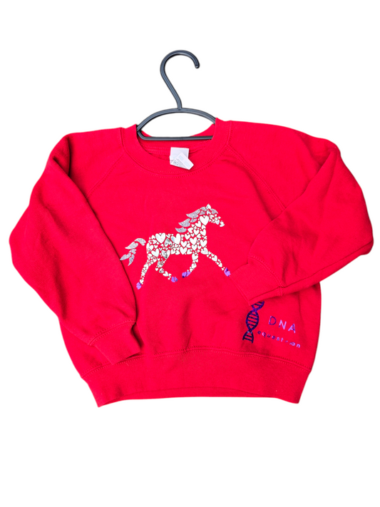 Red childrens sweatshirt with heart horse design