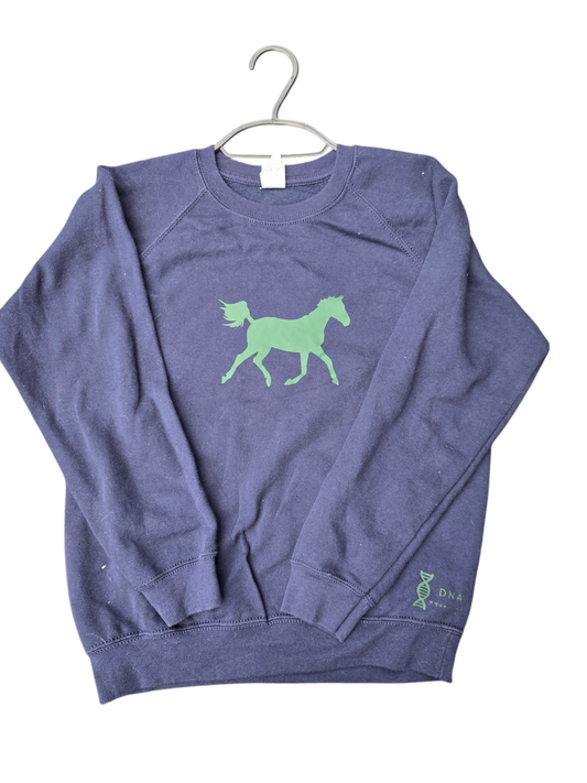 Childrens navy sweatshirt with green horse design