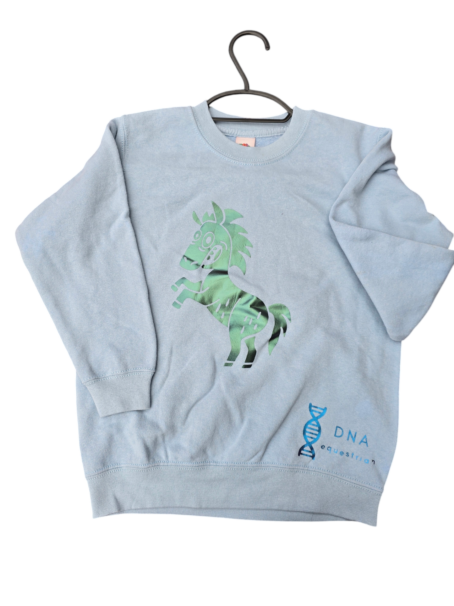 Baby blue sweatshirt with funny horse childrens